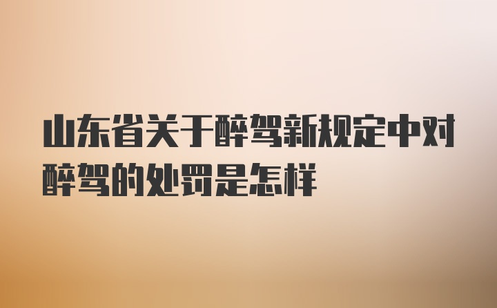 山东省关于醉驾新规定中对醉驾的处罚是怎样