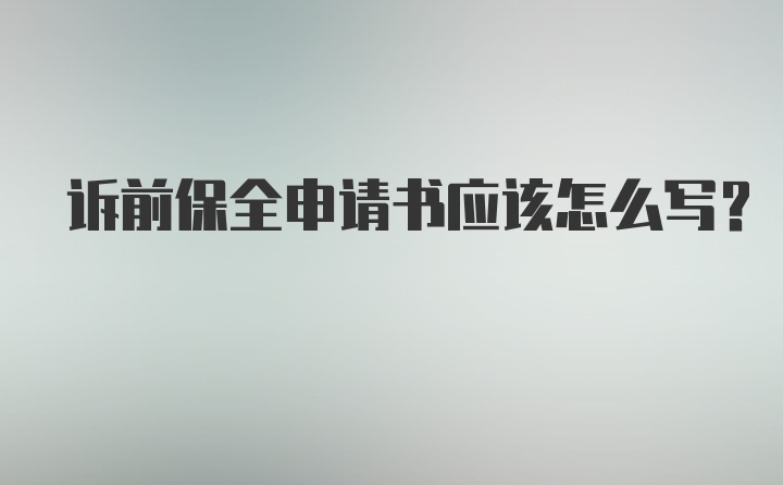 诉前保全申请书应该怎么写？