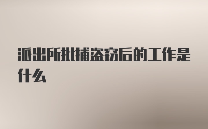 派出所批捕盗窃后的工作是什么