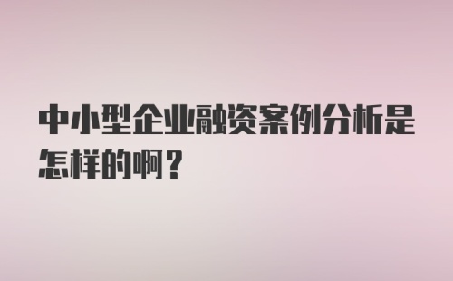 中小型企业融资案例分析是怎样的啊？