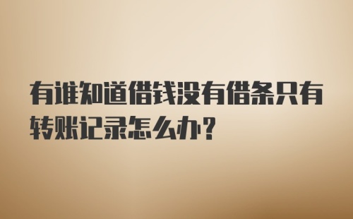 有谁知道借钱没有借条只有转账记录怎么办？