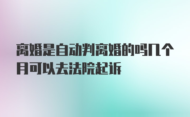 离婚是自动判离婚的吗几个月可以去法院起诉