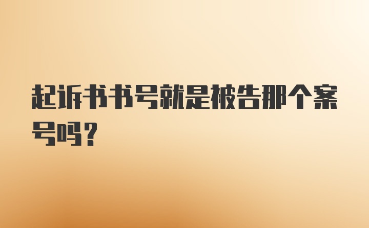 起诉书书号就是被告那个案号吗？