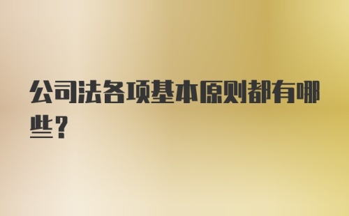 公司法各项基本原则都有哪些?