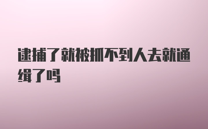 逮捕了就被抓不到人去就通缉了吗