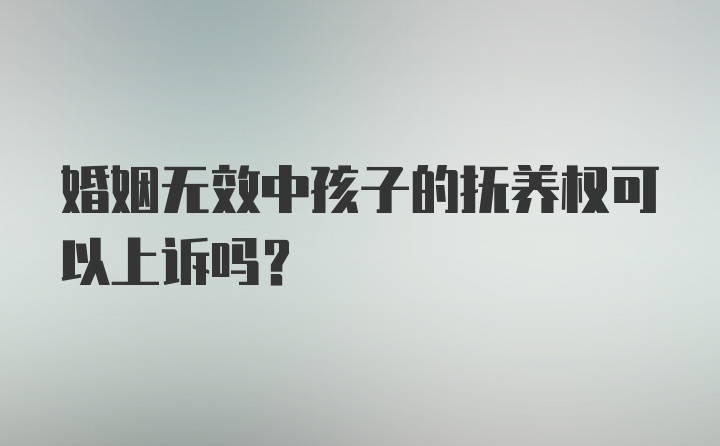 婚姻无效中孩子的抚养权可以上诉吗？