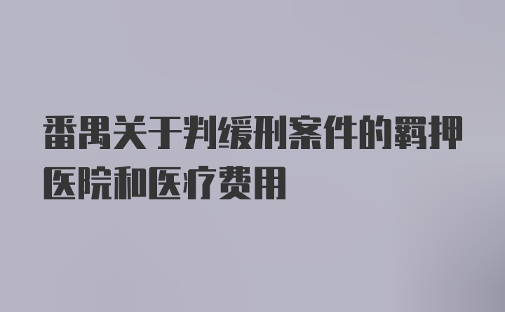 番禺关于判缓刑案件的羁押医院和医疗费用