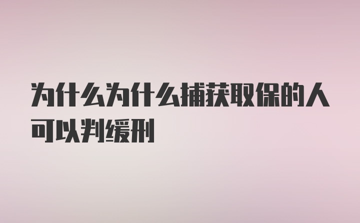 为什么为什么捕获取保的人可以判缓刑