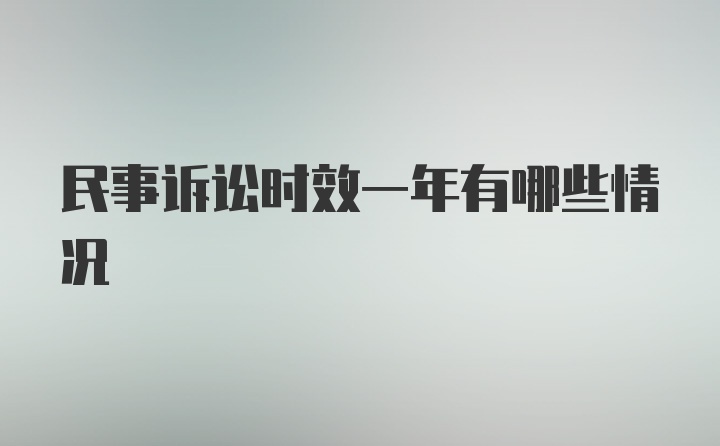 民事诉讼时效一年有哪些情况