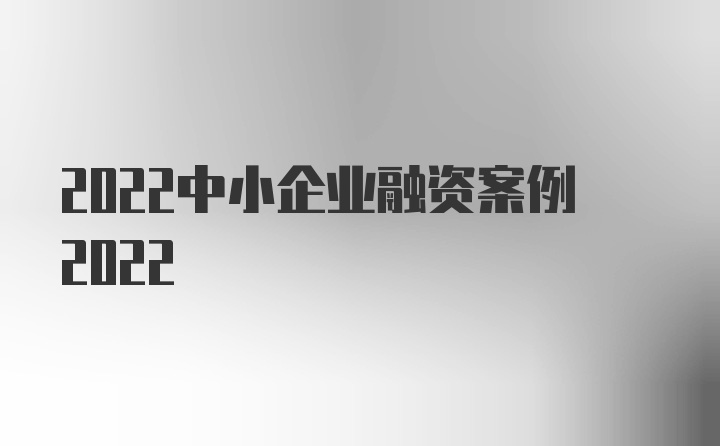 2022中小企业融资案例2022