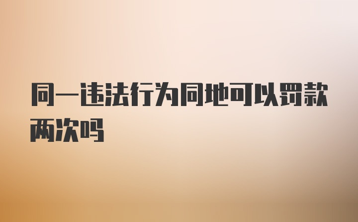 同一违法行为同地可以罚款两次吗