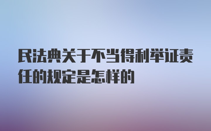 民法典关于不当得利举证责任的规定是怎样的