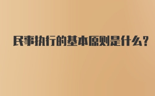 民事执行的基本原则是什么?