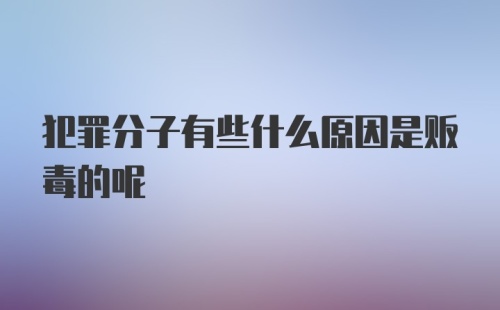 犯罪分子有些什么原因是贩毒的呢