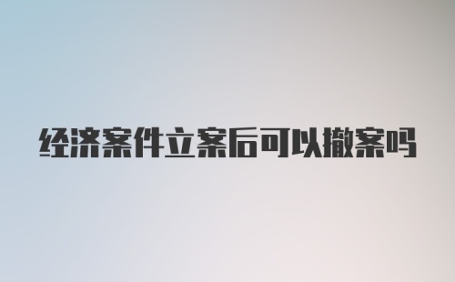 经济案件立案后可以撤案吗