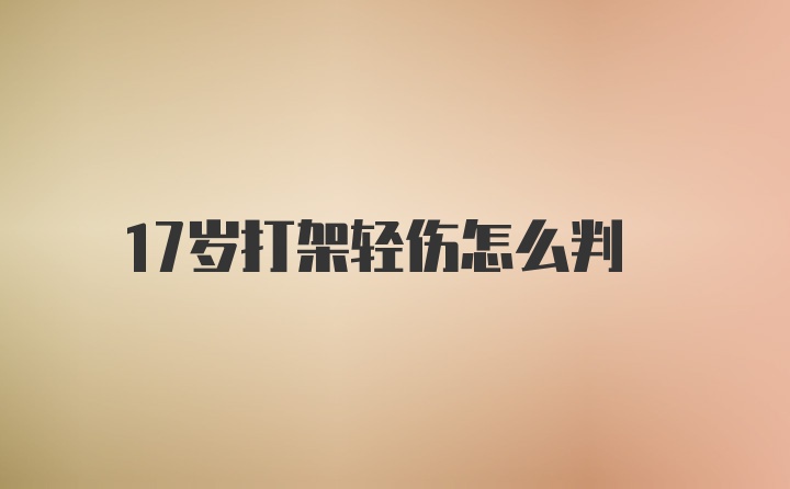 17岁打架轻伤怎么判