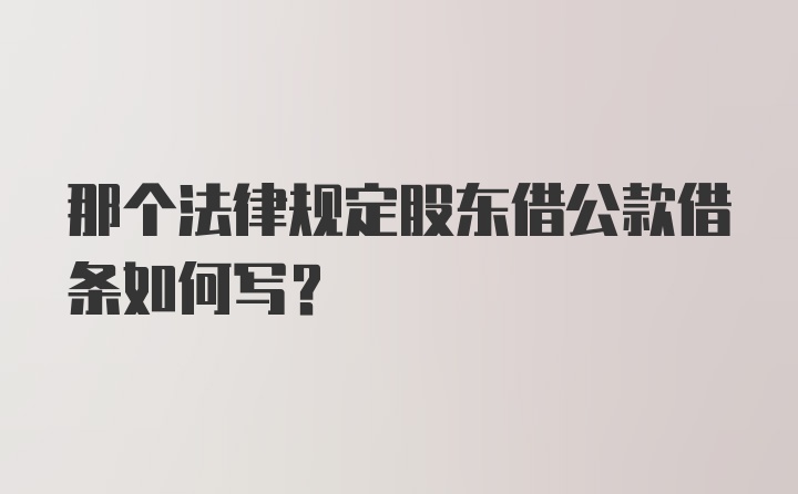 那个法律规定股东借公款借条如何写？