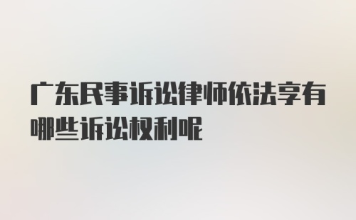 广东民事诉讼律师依法享有哪些诉讼权利呢