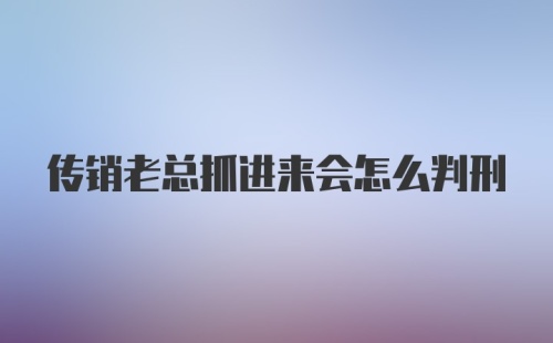 传销老总抓进来会怎么判刑