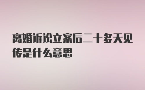 离婚诉讼立案后二十多天见传是什么意思