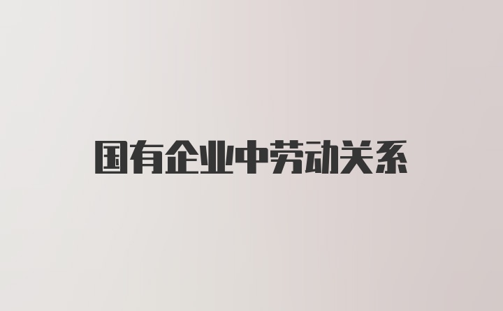 国有企业中劳动关系