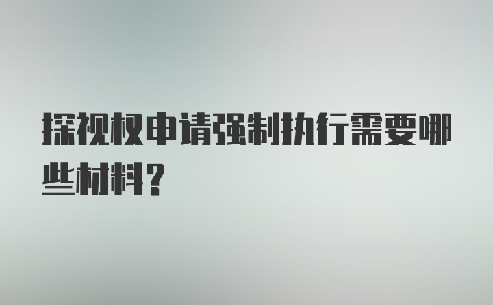 探视权申请强制执行需要哪些材料?