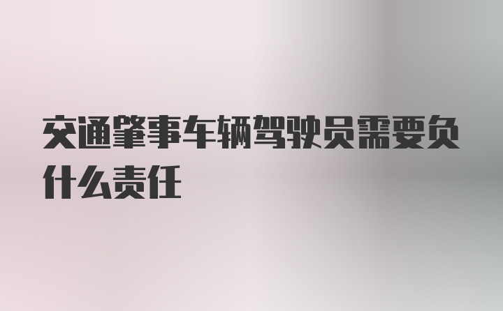 交通肇事车辆驾驶员需要负什么责任