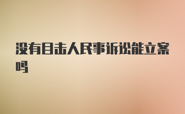 没有目击人民事诉讼能立案吗