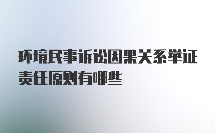 环境民事诉讼因果关系举证责任原则有哪些