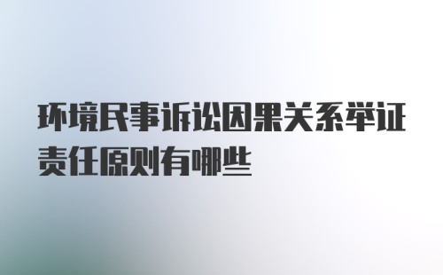 环境民事诉讼因果关系举证责任原则有哪些