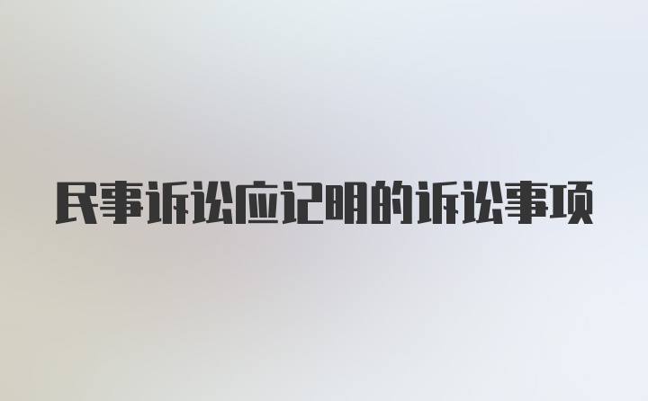 民事诉讼应记明的诉讼事项