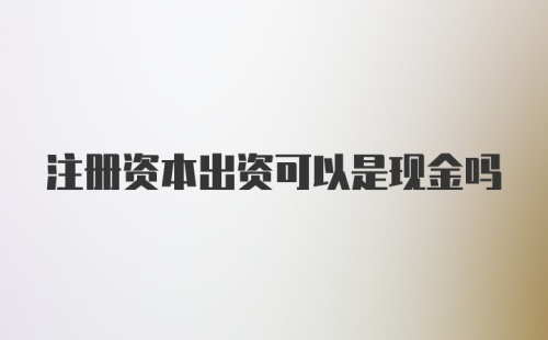 注册资本出资可以是现金吗