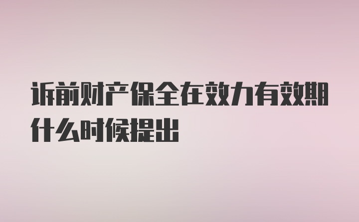 诉前财产保全在效力有效期什么时候提出