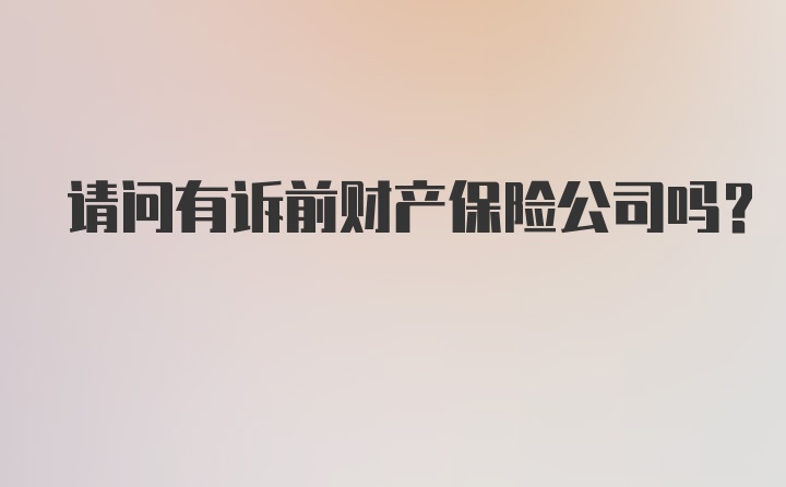 请问有诉前财产保险公司吗？