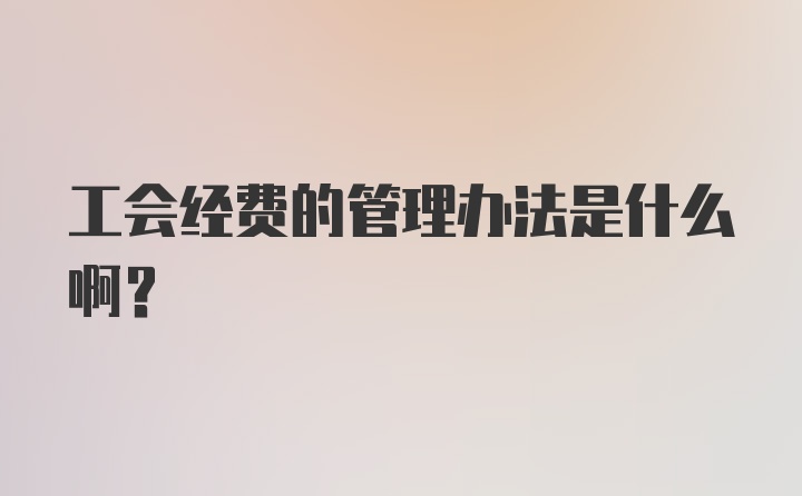 工会经费的管理办法是什么啊？