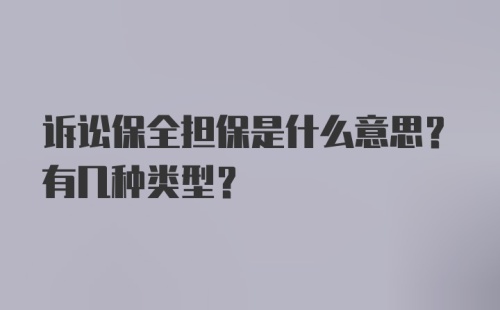 诉讼保全担保是什么意思？有几种类型？