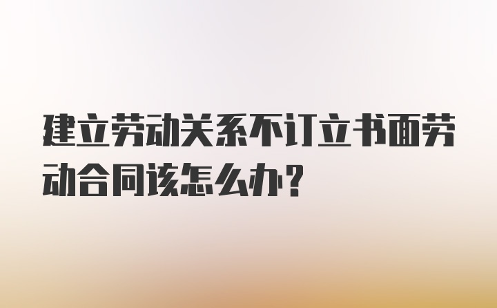 建立劳动关系不订立书面劳动合同该怎么办？