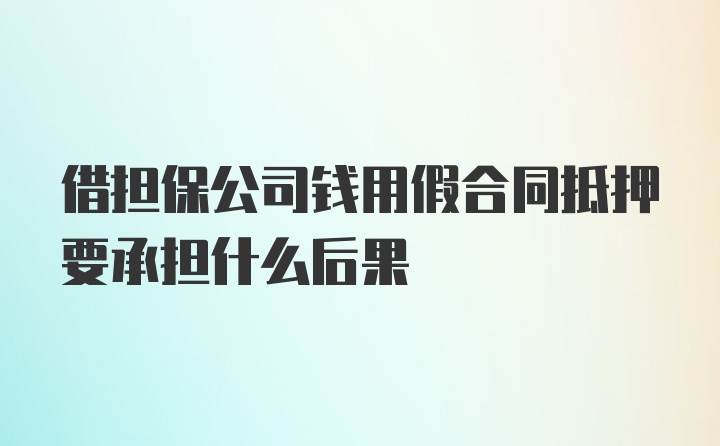 借担保公司钱用假合同抵押要承担什么后果