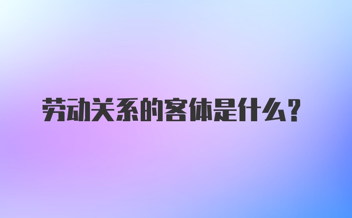 劳动关系的客体是什么?