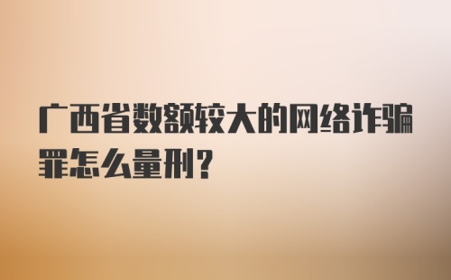 广西省数额较大的网络诈骗罪怎么量刑？