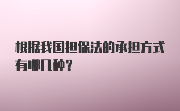 根据我国担保法的承担方式有哪几种？