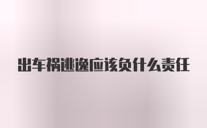 出车祸逃逸应该负什么责任