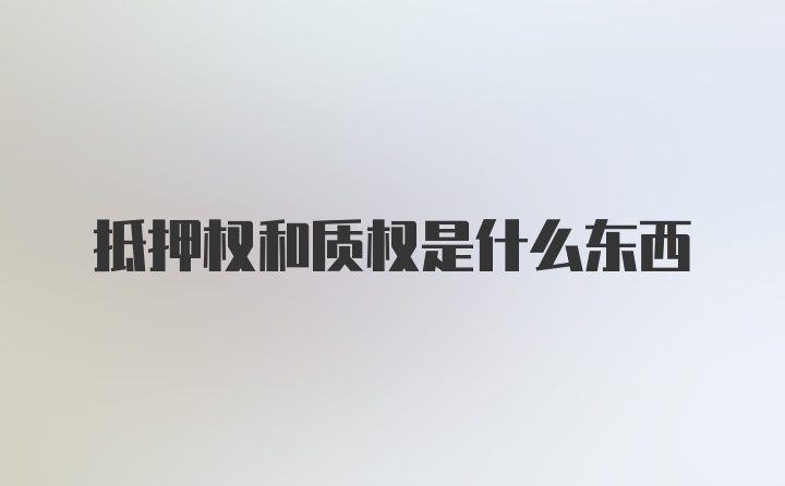 抵押权和质权是什么东西