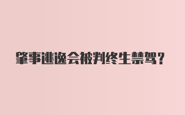 肇事逃逸会被判终生禁驾？