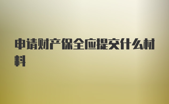 申请财产保全应提交什么材料