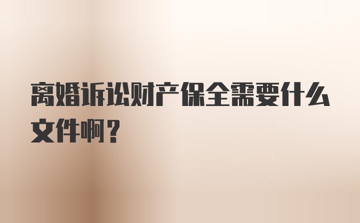 离婚诉讼财产保全需要什么文件啊？