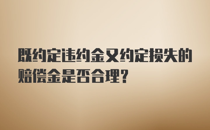 既约定违约金又约定损失的赔偿金是否合理?