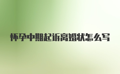 怀孕中期起诉离婚状怎么写