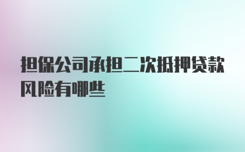 担保公司承担二次抵押贷款风险有哪些