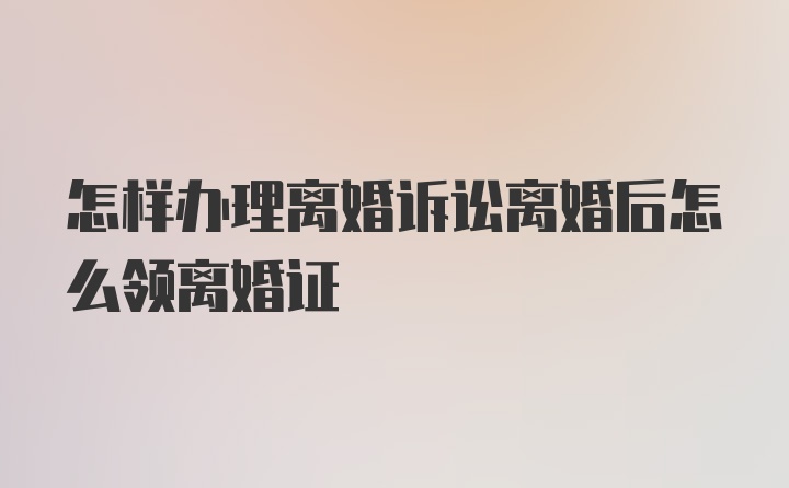 怎样办理离婚诉讼离婚后怎么领离婚证